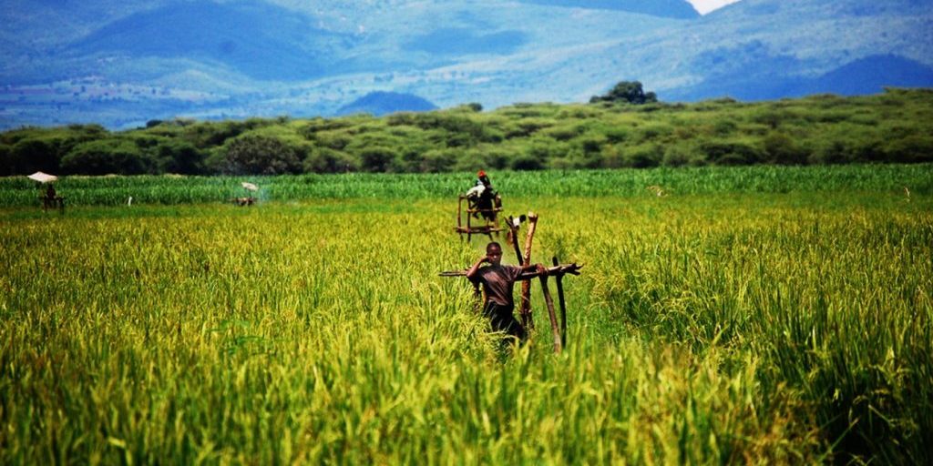 Sulla_Rotta_Per_Ihanga_Raccolta_Fondi_2016_Tanzania_2